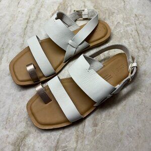 TOMS Women's Freya Toe Loop Sandal Flat NEVER WORN!